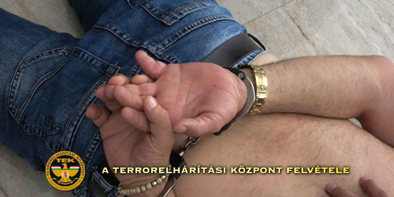 Még az egyik budapesti kórházban is volt beépített embere a kiterjedt ingatlanmaffiának: a TEK kommandósai csaptak le rájuk