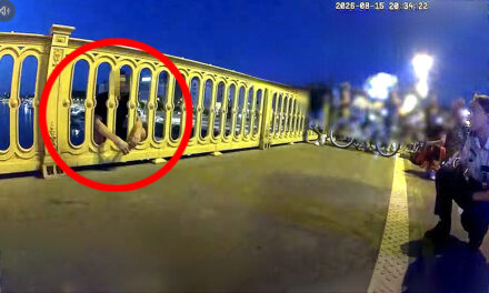 Hős rendőrök mentették meg egy férfi életét Budapesten, a Margit hídon – videó a cikkben