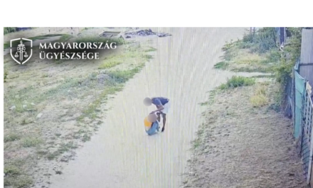 Rátámadt, majd kirabolta volt barátnőjét a nyílt utcán egy férfi Kistarcsán