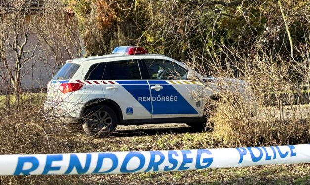 Borzalmasan megkínozta élettársát a győri férfi: megverte és megásatta vele saját sírját az erdőbe, majd égő cigarettacsikket nyomott el a testén