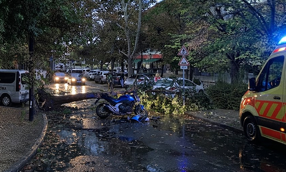 Meghalt egy 16 éves motoros Kiskunfélegyházán, miután rádőlt egy fa a szerdai viharban