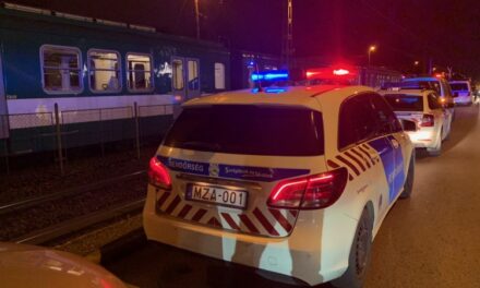 Megszökött a Kalocsai Gyermekotthonból a 13 éves Brendonka, a Pest megyei HÉV-en fogták el a  fiút, aki több bűncselekményt is elkövethetett