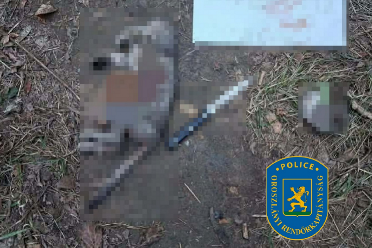 Brutálisan megölt egy macskát a 14 éves fiú Oroszlányba, a fiatal egy erőszakot népszerűsítő online csoport tagja volt