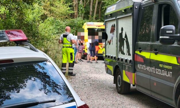Fának csapódott, majd fejsérüléssel eltűnt egy sofőr a szentendrei erdőben: kutyákkal és drónnal keresték a kutató-mentők