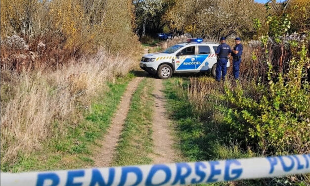 Csúnyán megalázott egy tinibanda egy 12 éves kislányt Nagykovácsiban – A polgármester is megszólalt az ügyben, a rendőrség már nyomoz
