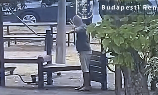Lövéseknek hitték a dördüléseket, a férfi csúzlival és csapágygolyókkal okozott pánikot Pesterzsébeten, kirakatokra és ablakokra lövöldözött