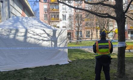 „Ezt nem tudjuk felfogni” – nem hiszik el az ismerősei, hogy saját akaratából közösült a nyílt utcán az 52 éves Edit, akit pár óra múlva holtan találták a bokorban