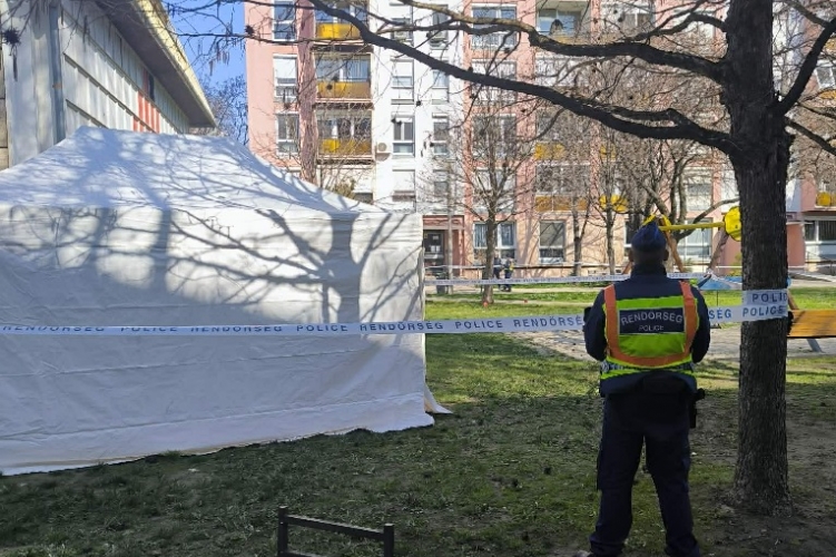 „Ezt nem tudjuk felfogni” – nem hiszik el az ismerősei, hogy saját akaratából közösült a nyílt utcán az 52 éves Edit, akit pár óra múlva holtan találták a bokorban