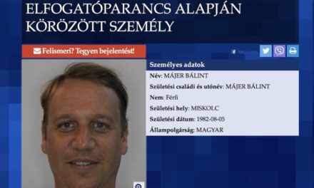 Óriáskereket üzemeltet Balin a lélegeztetőgép-ügy miatt körözött Májer Bálint