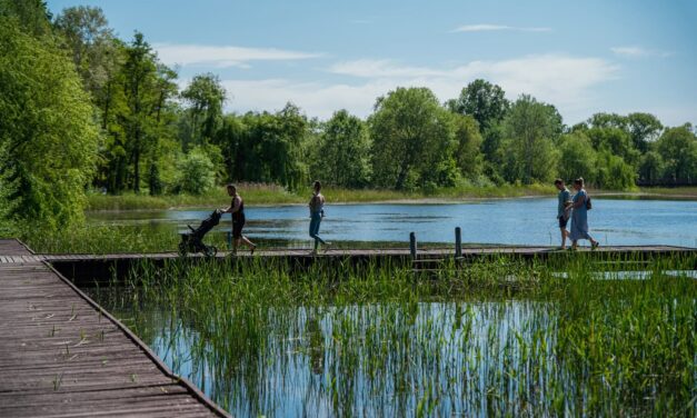 Holtan találták a Vekeri-tó közelében a Debrecenből eltűnt 41 éves férfit